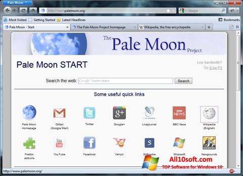 Screenshot Pale Moon Windows 10